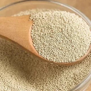 مایه خمیر 100 گرم